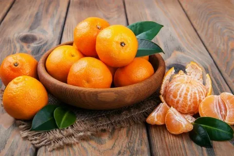 تصویر 2 از خریدکنسانتره نارنگی مازندران + قیمت فروش استثنایی